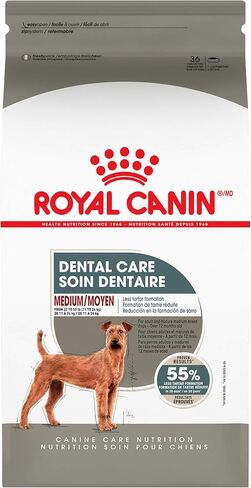 Royal Canin Medium Dog Dental Care Dry Dog Food, 28 lb bag in Saudi Arabia