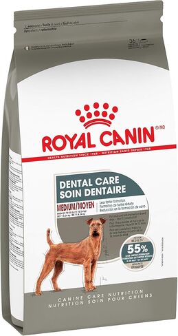 Royal Canin Medium Dog Dental Care Dry Dog Food, 28 lb bag in Saudi Arabia