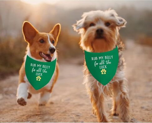JXGZSO 1 Piece St. Patrick's Day Dog Bandanas Irish Dog Bandana Holiday Party Decorations (All The Luck D) in Saudi Arabia