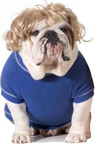 Funny Cosplay Wig for Dog, Headwear Apparel, Pet Costumes, Cat Dress up for Halloween, Christmas, Parties, Festivals (Golden Straight Hair) in Saudi Arabia