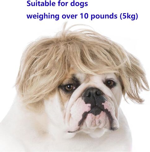 Funny Cosplay Wig for Dog, Headwear Apparel, Pet Costumes, Cat Dress up for Halloween, Christmas, Parties, Festivals (Golden Straight Hair) in Saudi Arabia