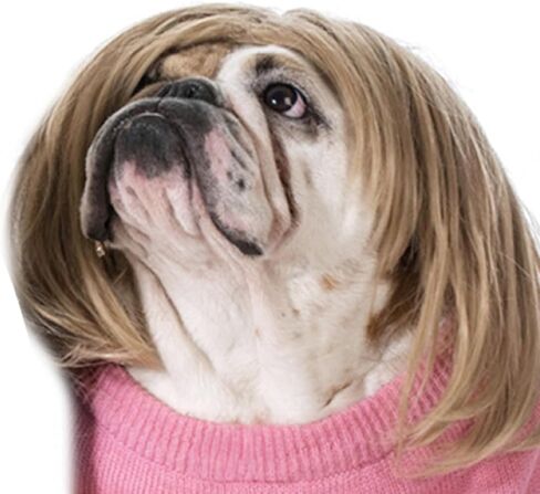 Funny Cosplay Wig for Dog, Headwear Apparel, Pet Costumes, Cat Dress up for Halloween, Christmas, Parties, Festivals (Golden Straight Hair) in Saudi Arabia