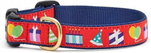 Up Country Birthday Gift Dog Collar (Birthday Gift Collar, Medium (12 to 18 inches) 1 inch Wide Width) in Saudi Arabia
