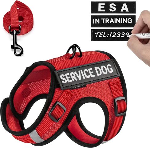 FAYOGOO Dog Harness for Small Dogs - Soft Breathable Mesh ESA Service Dog Vest with Velcro Patches - No Choke Puppy Harness and Leash with Adjustable Neck and Chest in Saudi Arabia