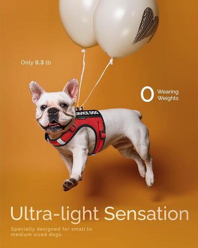 FAYOGOO Dog Harness for Small Dogs - Soft Breathable Mesh ESA Service Dog Vest with Velcro Patches - No Choke Puppy Harness and Leash with Adjustable Neck and Chest in Saudi Arabia