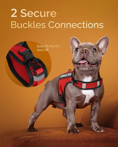 FAYOGOO Dog Harness for Small Dogs - Soft Breathable Mesh ESA Service Dog Vest with Velcro Patches - No Choke Puppy Harness and Leash with Adjustable Neck and Chest in Saudi Arabia