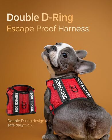 FAYOGOO Dog Harness for Small Dogs - Soft Breathable Mesh ESA Service Dog Vest with Velcro Patches - No Choke Puppy Harness and Leash with Adjustable Neck and Chest in Saudi Arabia