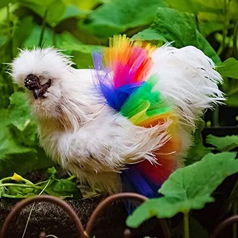Funny Chicken Tutu Skirt Princess Dress Hen Feather Protector Skirt Set Hen Decor for Chicken Clothes Rainbow Dress for Cute l Animal 3 Sizes L in Saudi Arabia
