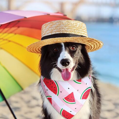 Whaline 8 Pieces Summer Dog Bandanas Hawaiian Style Dog Scarf Washable Pineapple Watermelon Fruit Pet Neckerchief Triangle Dog Bibs Assortment Puppy Kerchief Accessories for Pet Costume Supply in Saudi Arabia