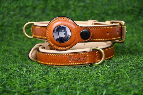 Airtag Luxury Real Leather | Genuine Leather Soft Padded Dog Collar for Medium Large Dogs | Leather with Anti -Rust Hardware (Size - M) Fits Neck 14, 15, 16 & 17 inches in Saudi Arabia