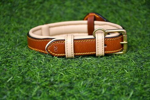 Airtag Luxury Real Leather | Genuine Leather Soft Padded Dog Collar for Medium Large Dogs | Leather with Anti -Rust Hardware (Size - M) Fits Neck 14, 15, 16 & 17 inches in Saudi Arabia