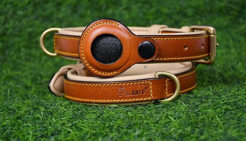 Airtag Luxury Real Leather | Genuine Leather Soft Padded Dog Collar for Medium Large Dogs | Leather with Anti -Rust Hardware (Size - M) Fits Neck 14, 15, 16 & 17 inches in Saudi Arabia