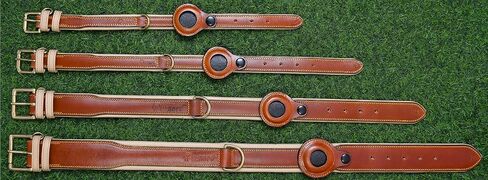 Airtag Luxury Real Leather | Genuine Leather Soft Padded Dog Collar for Medium Large Dogs | Leather with Anti -Rust Hardware (Size - M) Fits Neck 14, 15, 16 & 17 inches in Saudi Arabia