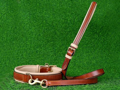 Airtag Luxury Real Leather | Genuine Leather Soft Padded Dog Collar for Medium Large Dogs | Leather with Anti -Rust Hardware (Size - M) Fits Neck 14, 15, 16 & 17 inches in Saudi Arabia