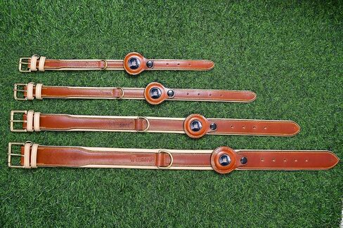 Airtag Luxury Real Leather | Genuine Leather Soft Padded Dog Collar for Medium Large Dogs | Leather with Anti -Rust Hardware (Size - M) Fits Neck 14, 15, 16 & 17 inches in Saudi Arabia