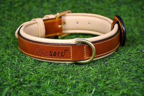 Airtag Luxury Real Leather | Genuine Leather Soft Padded Dog Collar for Medium Large Dogs | Leather with Anti -Rust Hardware (Size - M) Fits Neck 14, 15, 16 & 17 inches in Saudi Arabia