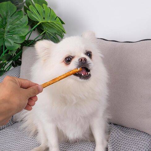 MON2SUN Dog Treats, 5 Inch Chicken Wrapped Collagen Sticks, Teeth Cleaning Collagen Dog Chews for Small Dogs, Healthy Dog Snacks, 10.58oz (40 Count-Pack of 1) in Saudi Arabia