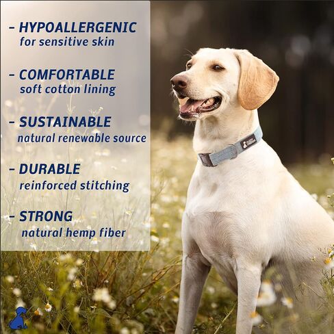 Dk Green Hemp Dog Leash. Chemical Free, Environmental Friendly, Great for Sensitive Skin or Allergies. Made of Sustainable Hemp with no Harsh Dyes or Chemicals in Saudi Arabia