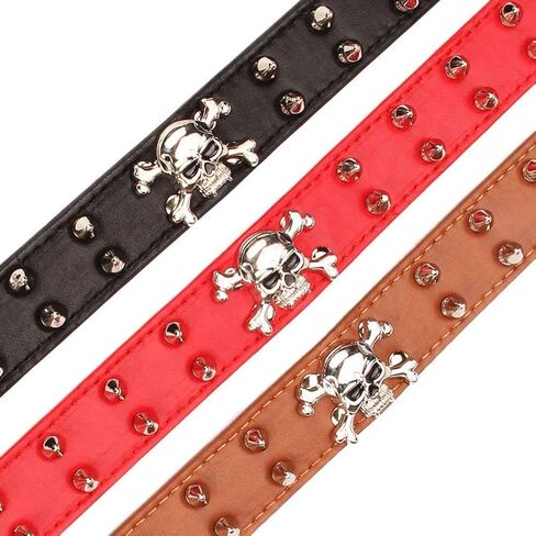 Spiked Leather Dog Collar - 2 Rows Bullet Rivets Studded PU Leather - Cool Skull Pet Accessories for Medium and Large Dogs(Black,M) in Saudi Arabia
