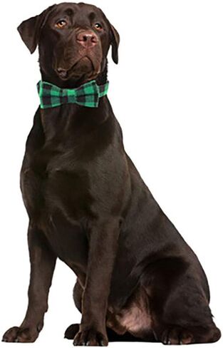 Love Dream Christmas Dog and Cat Collar with Bowtie, Soft and Comfortable Breakaway Plaid Dog Collar with Cute Bow Tie for Small Medium Large Dogs (Large) in Saudi Arabia