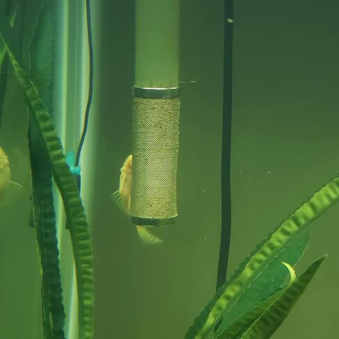12mm Stainless Steel Aquarium Inflow Inlet Filter Aquarium Filter Intake Cover Fish Shrimp Mesh Net Filter Guard Fish Tank Intake Strainer Cover in Kuwait