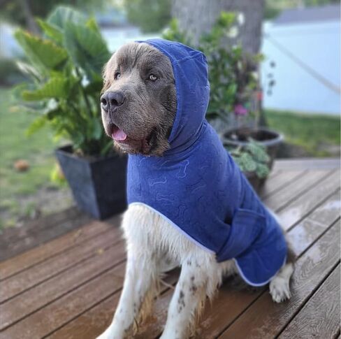 Dog Hooded Bathrobe - Premium Microfiber Quick Drying Pet Towel for Swim Bath & Beach Trips. Luxury & Soft for Pets of all Breeds and Sizes in Saudi Arabia