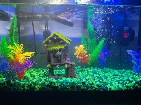بيت السمك لديكورات حوض السمك، مخبأ الأسماك، منزل خزان الأسماك مع طحالب نابضة بالحياة، يأتي مع قطعتين من نباتات حوض السمك الاصطناعية مقاس 4 بوصات (المنزل 2) in Kuwait