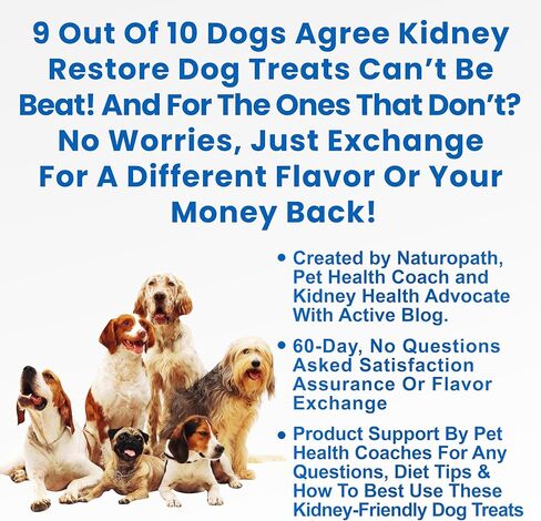 يعامل كلب التونة استعادة الكلى. مكافآت خاصة للكلاب صديقة للكلى، أطعمة منخفضة البروتين للكلاب للحمية الغذائية للكلى. علاجات لكلى الكلاب التي سيحبها كلابك. يعامل الكلب الكلوي in Kuwait