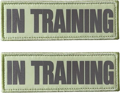 2 Pack Glow in Dark and Reflective Dog Patches，in Training,DO NOT PET, Tags with Hook and Loop Patches for Vests and Harnesses (in TRAINING, light green) in Saudi Arabia