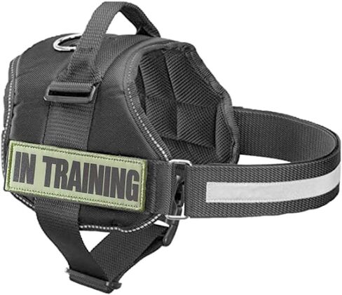 2 Pack Glow in Dark and Reflective Dog Patches，in Training,DO NOT PET, Tags with Hook and Loop Patches for Vests and Harnesses (in TRAINING, light green) in Saudi Arabia