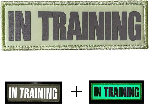 2 Pack Glow in Dark and Reflective Dog Patches，in Training,DO NOT PET, Tags with Hook and Loop Patches for Vests and Harnesses (in TRAINING, light green) in Saudi Arabia