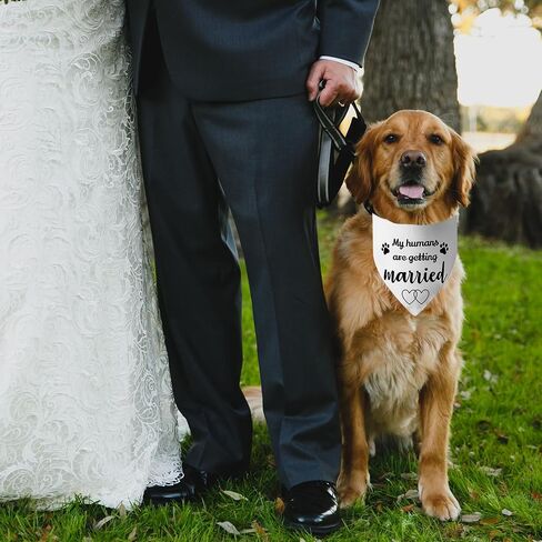 My Humans are Getting Married Dog Bandana Pet Bandanas for Wedding Photos Prop Engagement Announcement Dog Scarf Pet Proposal Accessories 1PC in Saudi Arabia