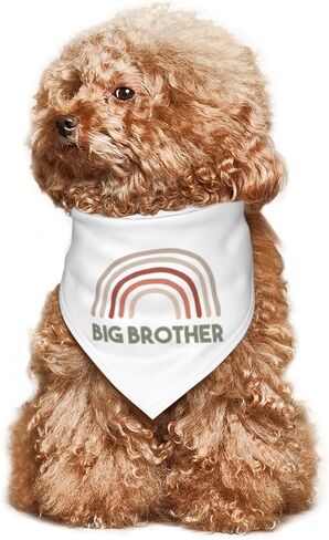 Big Brother with Rainbow Dog Bandanas، لوازم الحفلات، باندانا الحيوانات الأليفة، إكسسوارات أزياء الكلاب الأليفة، إكسسوارات الحيوانات الأليفة لمالك محبي الكلاب (أبيض) in Kuwait