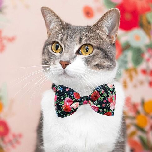Pohshido 2 Pack Floral Cat Collar with Bow Tie and Bell, Summer Rose and Sunflower Collar for Kitty Kitten Boys and Girls Cats (Black Rose/Sunflower) in Saudi Arabia