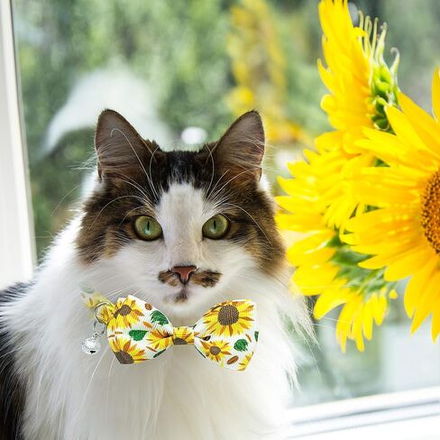 Pohshido 2 Pack Floral Cat Collar with Bow Tie and Bell, Summer Rose and Sunflower Collar for Kitty Kitten Boys and Girls Cats (Black Rose/Sunflower) in Saudi Arabia