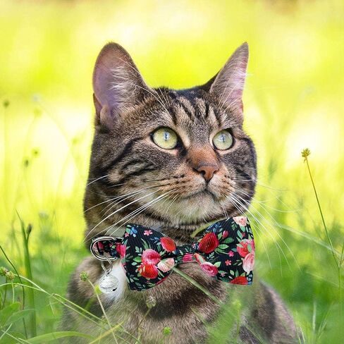 Pohshido 2 Pack Floral Cat Collar with Bow Tie and Bell, Summer Rose and Sunflower Collar for Kitty Kitten Boys and Girls Cats (Black Rose/Sunflower) in Saudi Arabia