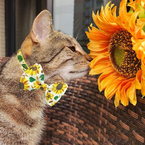 Pohshido 2 Pack Floral Cat Collar with Bow Tie and Bell, Summer Rose and Sunflower Collar for Kitty Kitten Boys and Girls Cats (Black Rose/Sunflower) in Saudi Arabia
