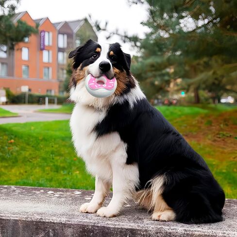 Andiker Dog Squeaky Toy, 4.65inches Rubber Dog Chew Toys for Aggressive Chewers, Donut Shape Interactive Dog Toys with a Creamy Flavor for Medium Large Breeds to Chew and Play (Pink) in Kuwait