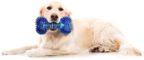 Dog Chew Toy - for Aggressive Chewer Indestructible Interactive Boredom Training Promotes Dental Health & Clean Teeth Relieves Anxiety Stress Blue Bone in Kuwait