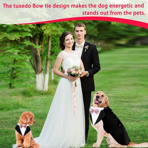 Stylish Tuxedo Dog Shirts Suit Harness Doggie Vest Harness Soft Mesh Pet Tuxedo with Bow Tie for small medium Dog Cat Walking Training (Burgundy, m) in Saudi Arabia