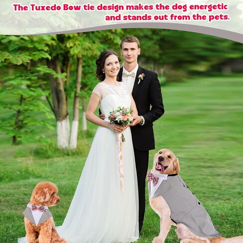 قمصان توكسيدو أنيقة للكلاب تناسب صدرية الكلب وحزام ناعم شبكي للحيوانات الأليفة مع ربطة عنق للكلاب الصغيرة والمتوسطة وتدريب القطط على المشي (بورجوندي، m) in Kuwait