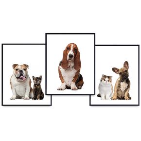 Dog and Cat Art Prints Set - Home Decor Wall Art Posters - Room Decorations for Veterinarian, Vet Office - Great Gift For Animal and Pet Lovers - 8x10 Photos Unframed