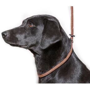 Dog & Field Deluxe Gundog Slip Lead (Brown) Super Soft Braided Nylon with Rubber Stopper - One Size Fits All and Suitable for All Breeds of Dog with 4 Colour Options (Brown)