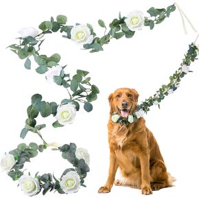 Honoson 2 Pcs Dog Wedding Flower Collar and 6 ft Flowers Garland to Decor Dog Leash, Dog Wedding Attire Wreath and Garland with Flowers, Boho Dog Wedding Accessory for Small Medium Large Dogs (Large)
