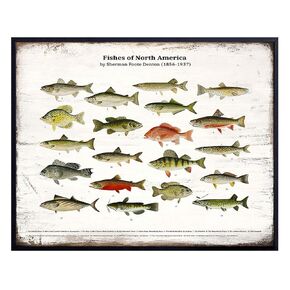 Vintage Rustic Fish Wall Art Decor Poster Print - Freshwater Bass, Trout Fishing Picture for Lake House, Cabin - Boho Shabby Chic Farmhouse Style Sign Plaque Replica - Gift for Fisherman - Unframed