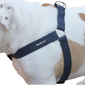 Cotton Web Adjustable Dog Step-in Harness 4 Sizes Blue (Xlarge: 21"-37" Chest; 1.2" Wide)