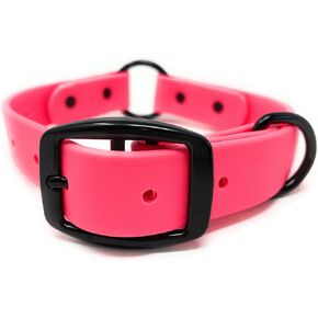 Regal Dog Products Medium Blue Waterproof Hunting Dog Collar with Heavy Duty Black Hardware Center Ring, Double Buckle and D Ring | Custom Fit Vinyl-Coated Webbing | for Small, Medium and Large Dogs