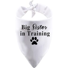 1 Piece Big Sister/Brother in Training Dog Bandana Dog Pregnancy Announcement Gender Reveal Gift (Big Sister White)