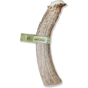 Prairie Dog Antlers | North American SPLIT Deer Antler | X-LARGE | Naturally Shed | Hand Harvested | Nutrient Rich | 7.5-8.5 inches long
