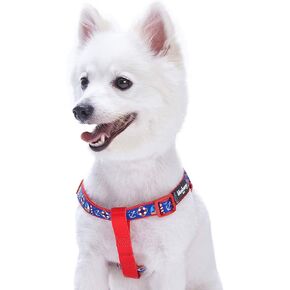 Blueberry Pet Essentials 2 Patterns Step-in Classy Bon Voyage Nautical Ocean Harbor Designer Dog Harness, Chest Girth 20" - 26", Medium, Adjustable Harnesses for Dogs